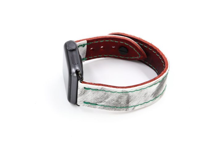 Arizona iWatch Band