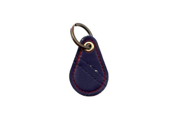 Demko Series Blue Keychain