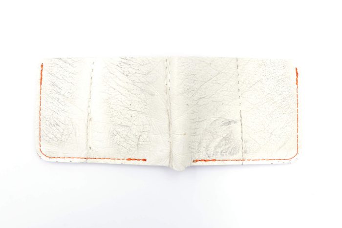 Hall Of Fame Collection 6 Slot Bi-Fold Wallet