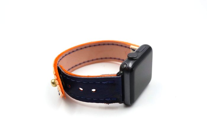 Visionary Collection White/Blue iWatch Band